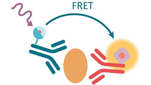 HTRF-Immunoassay-Technology-Platform.jpg