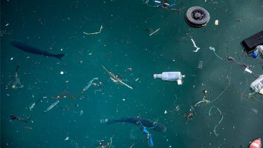 Teaching the World About Mismanaged Plastics