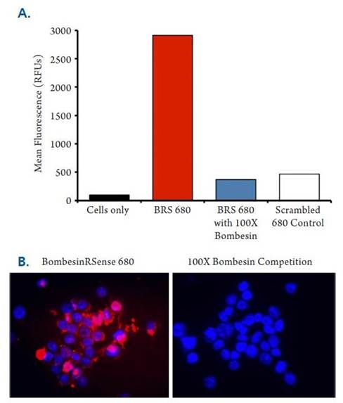 IVISense GFR 680 Fluorescent Probe (GFR-Vivo)