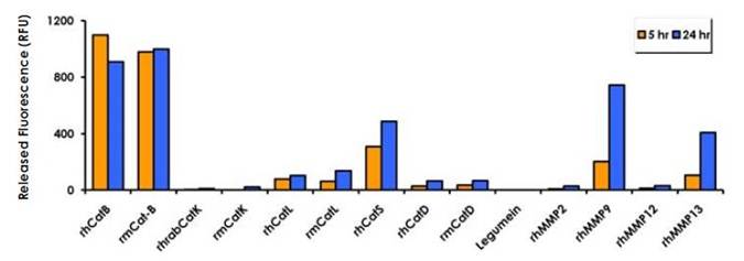 IVISense GFR 680 Fluorescent Probe (GFR-Vivo)