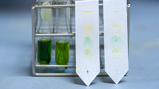 Chromatography Simplified – Liquid Chromatography Basics