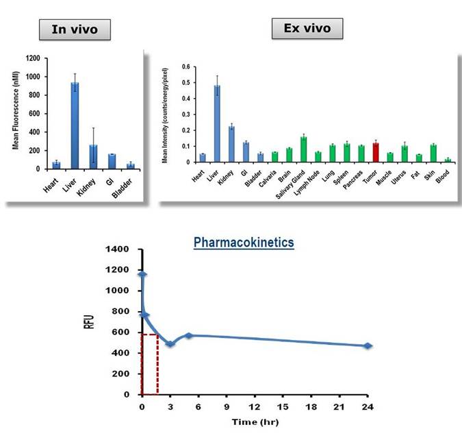 IVISense GFR 680 Fluorescent Probe (GFR-Vivo)