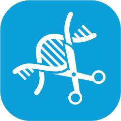 CRISPR Knockout