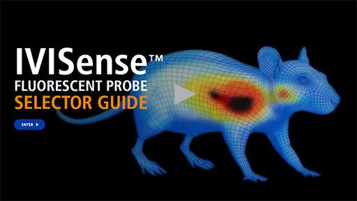 IVISense Fluorescent Probes