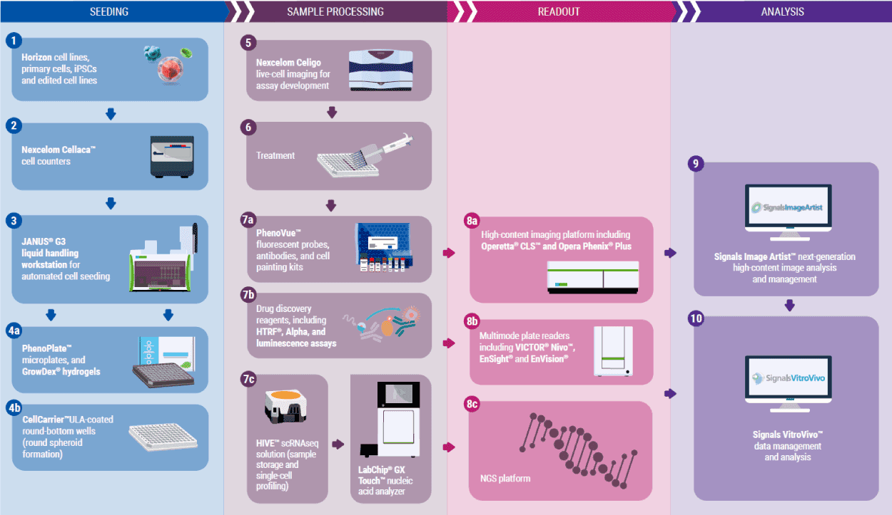 cell workflow infographic